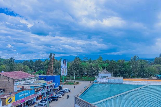 One Bedroom Nanyuki - thumbnail 4