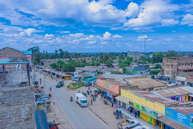 One Bedroom Nanyuki - thumbnail 6