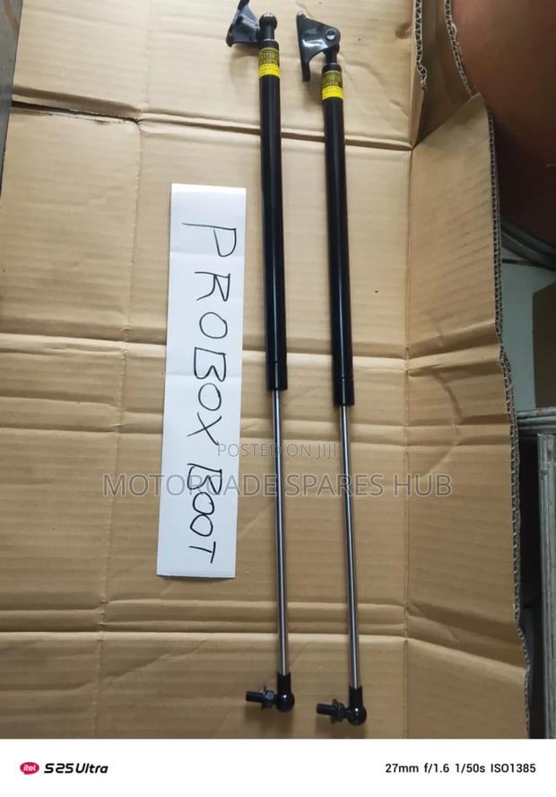 Toyota Probox Boot Shocks