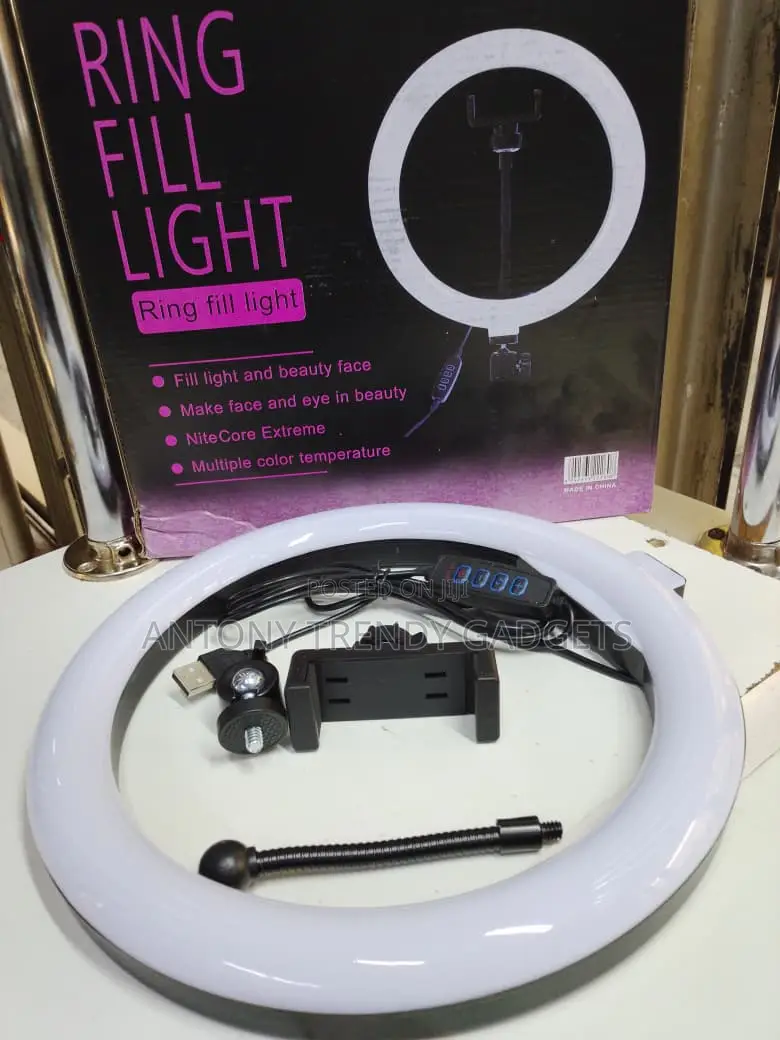 10 Inch Led Ring Light With Stand For Live Streaming & Makeup