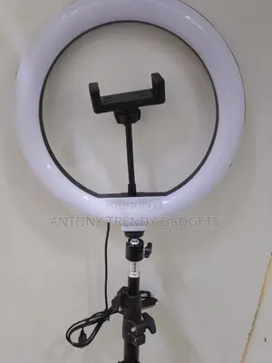 Professional 10” Led Ring Light With Stand For Tiktok & Zoom