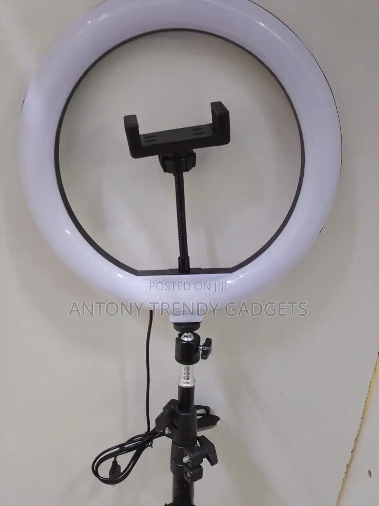 Professional 10” Led Ring Light With Stand For Tiktok & Zoom