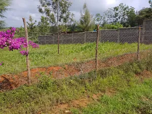 Prime 50x100 Plots for Sale at Don Bosco Area Embu