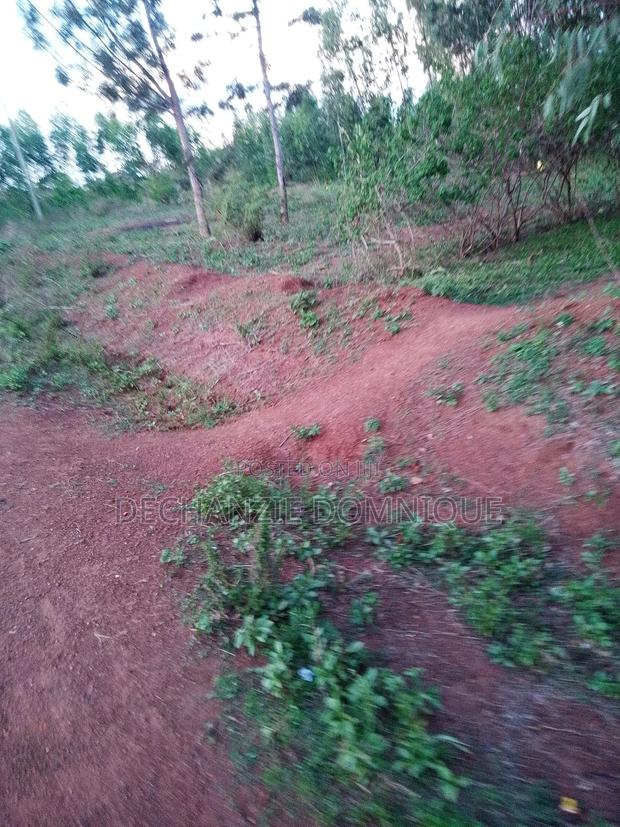 Am Selling My Land - thumbnail 2