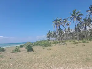 20 Acres Sandy Beach