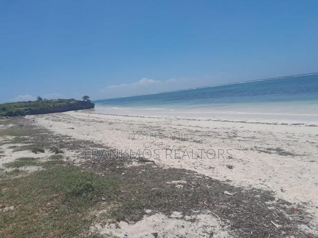 20 Acres Sandy Beach - thumbnail 5