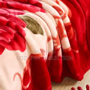 Heavy Velvet Soft Blankets