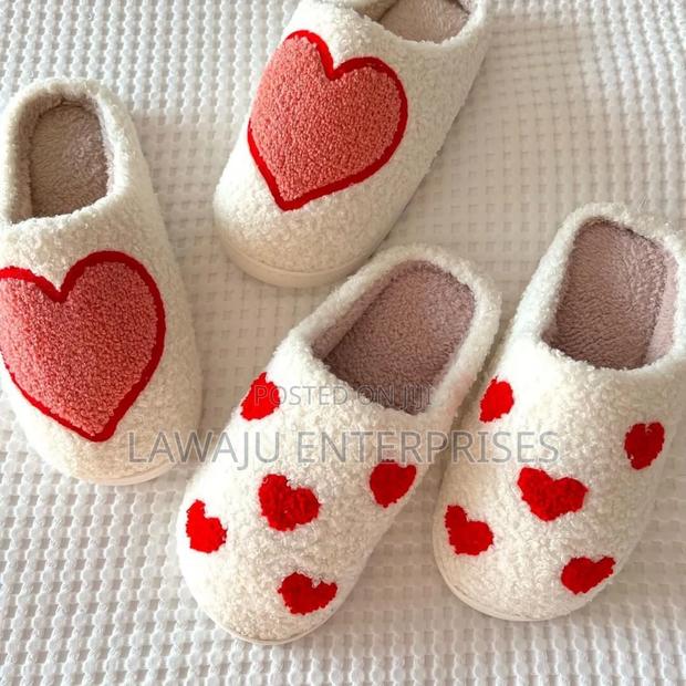 Cozy Indoor Shoes - main view