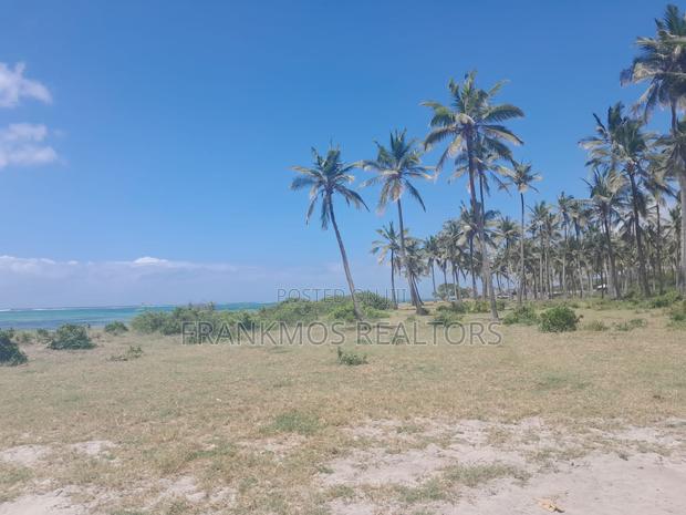 20 Acres Sandy Beach - thumbnail 11