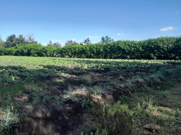 Lands on Sale - thumbnail 8