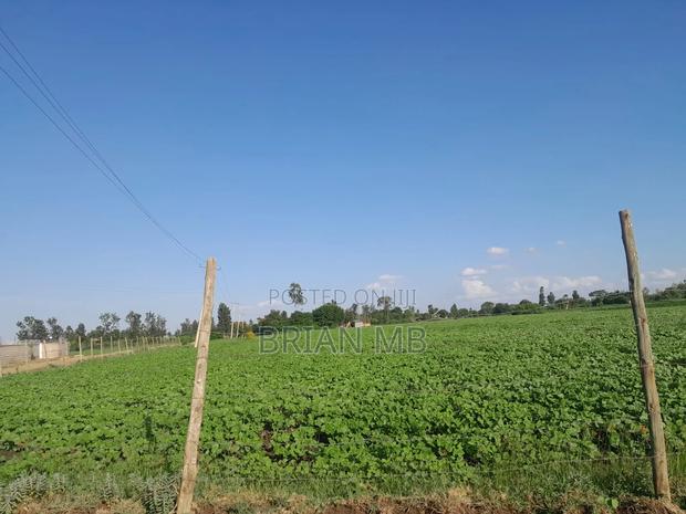 Lands on Sale - thumbnail 9