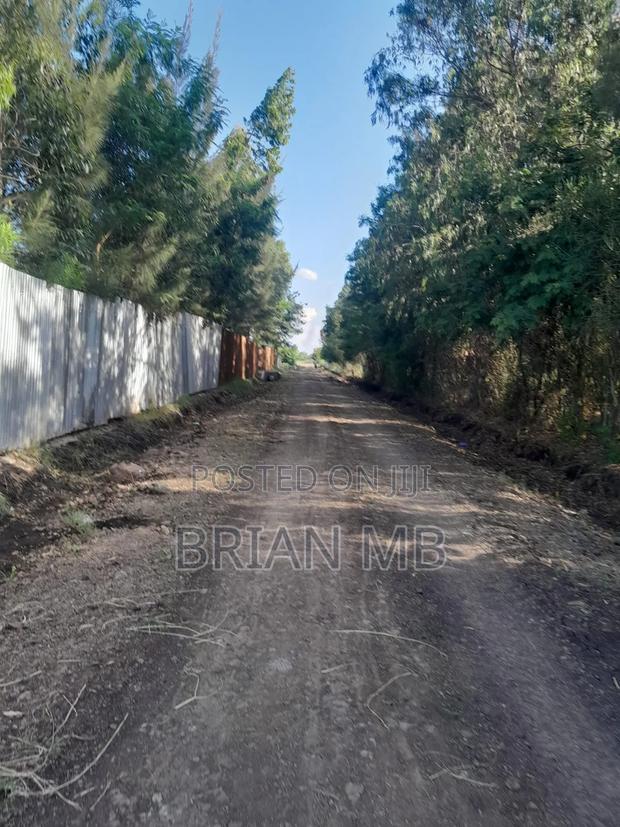 Lands on Sale - thumbnail 11