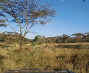 15 Acres of Land Bordering the Nairobi National Park