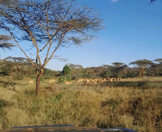 15 Acres of Land Bordering the Nairobi National Park