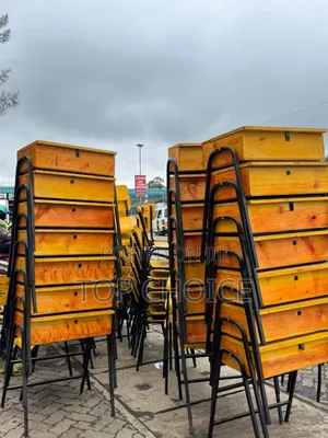 Durable Students and Chair for School