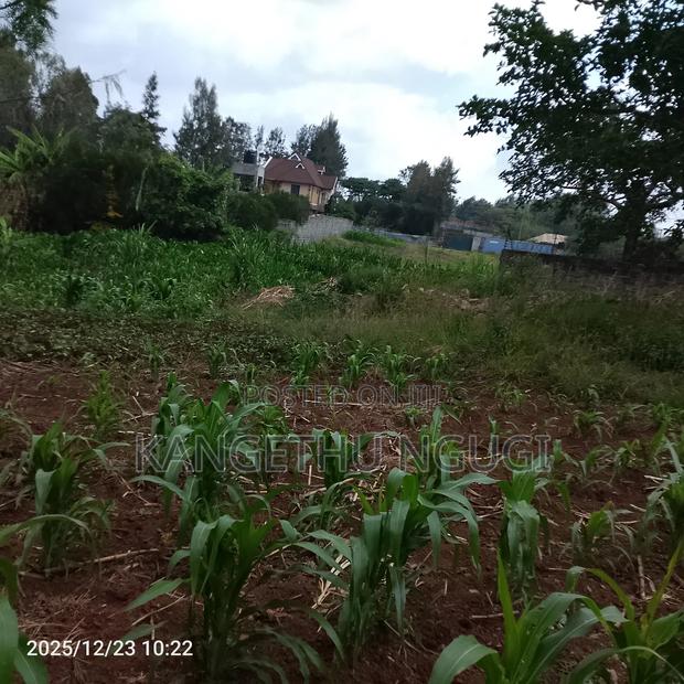 40 X 245 Feet Plot at Mugumo Estate - thumbnail 6