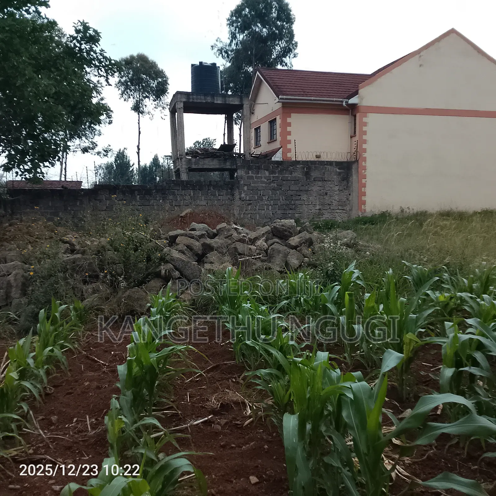 40 X 245 Feet Plot at Mugumo Estate
