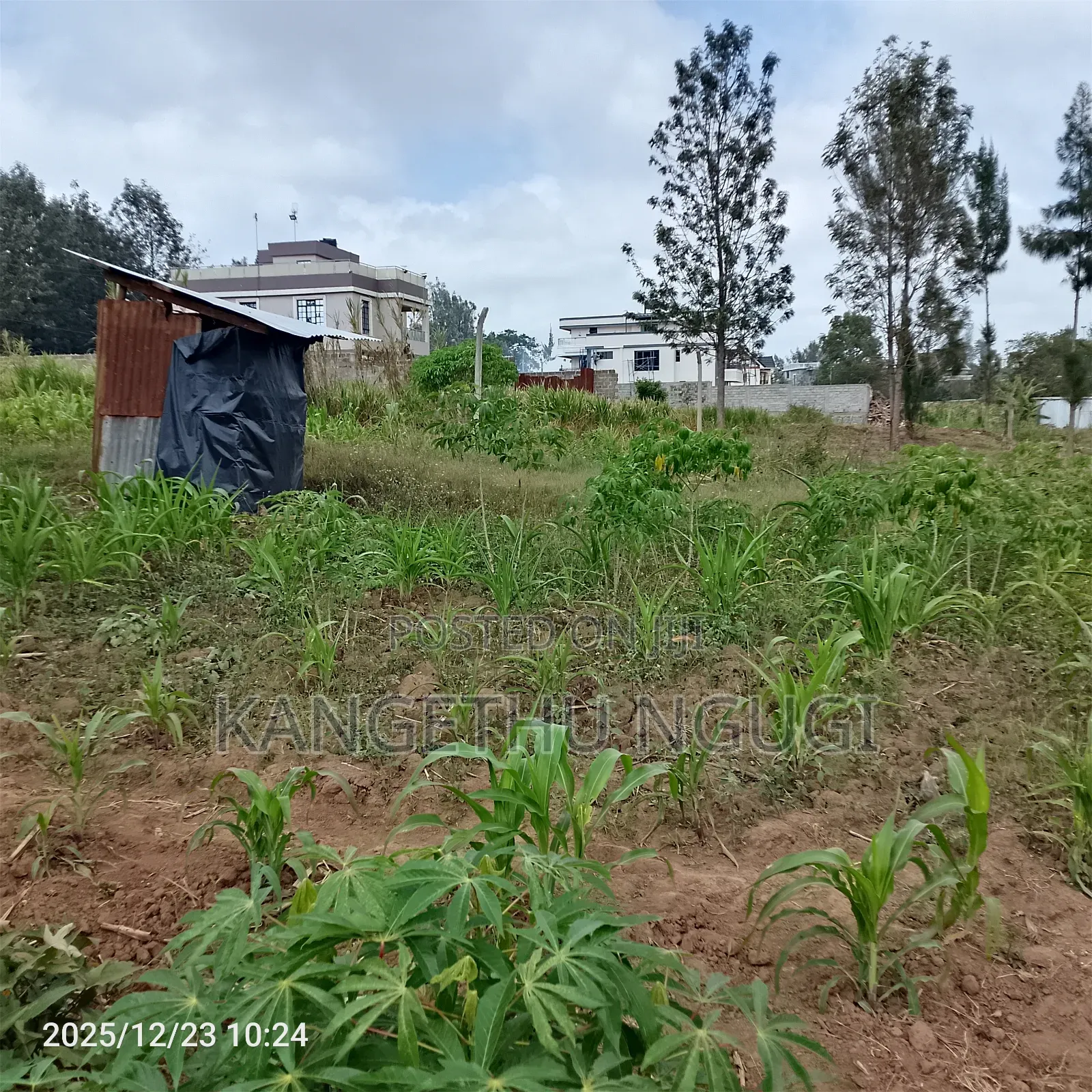 40 X 245 Feet Plot at Mugumo Estate