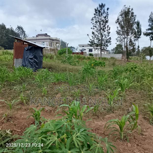 40 X 245 Feet Plot at Mugumo Estate - thumbnail 8