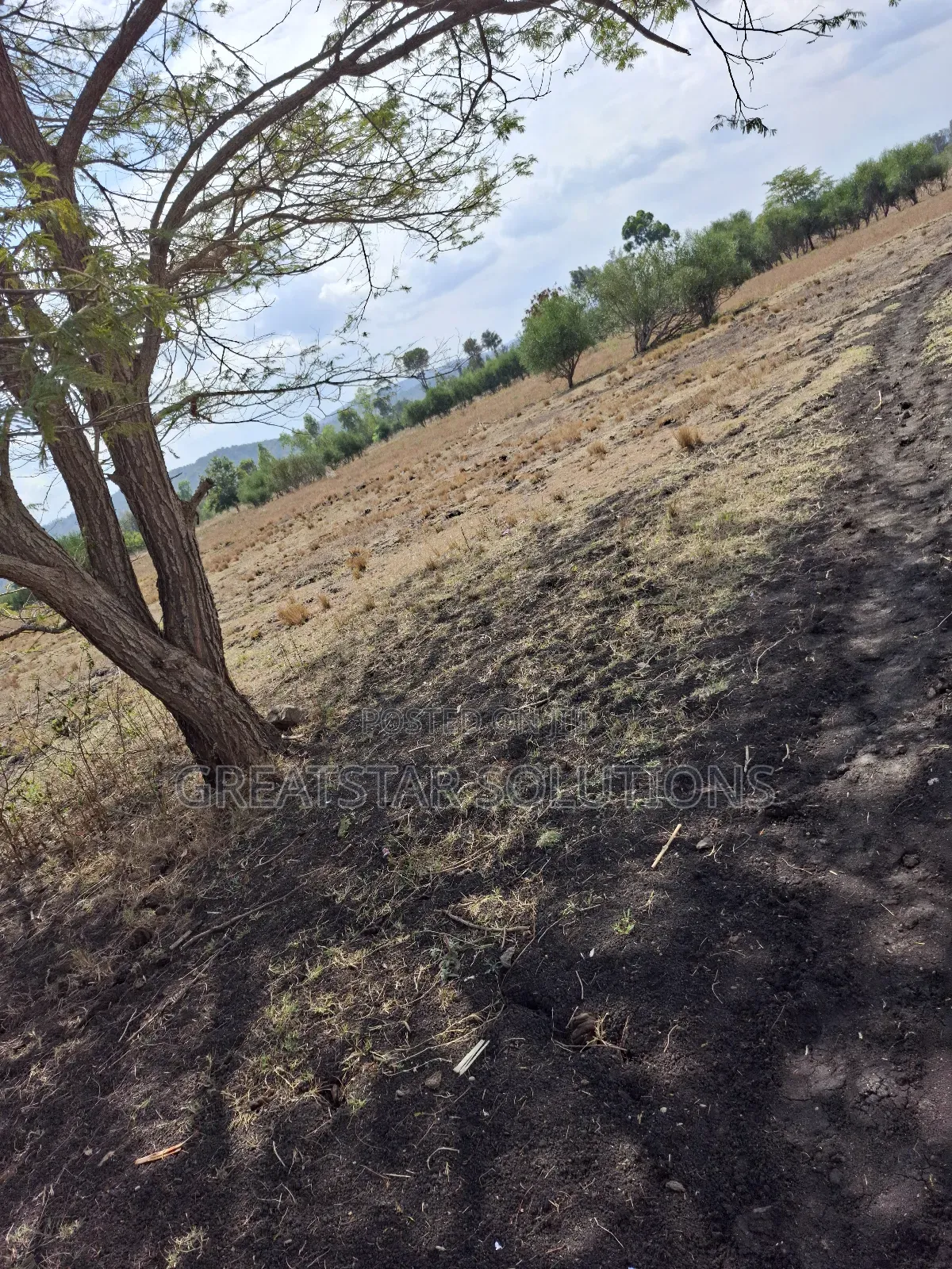 50 by 100 Plot in Kiine, Sagana. 200m From Kenol Marua Highway.