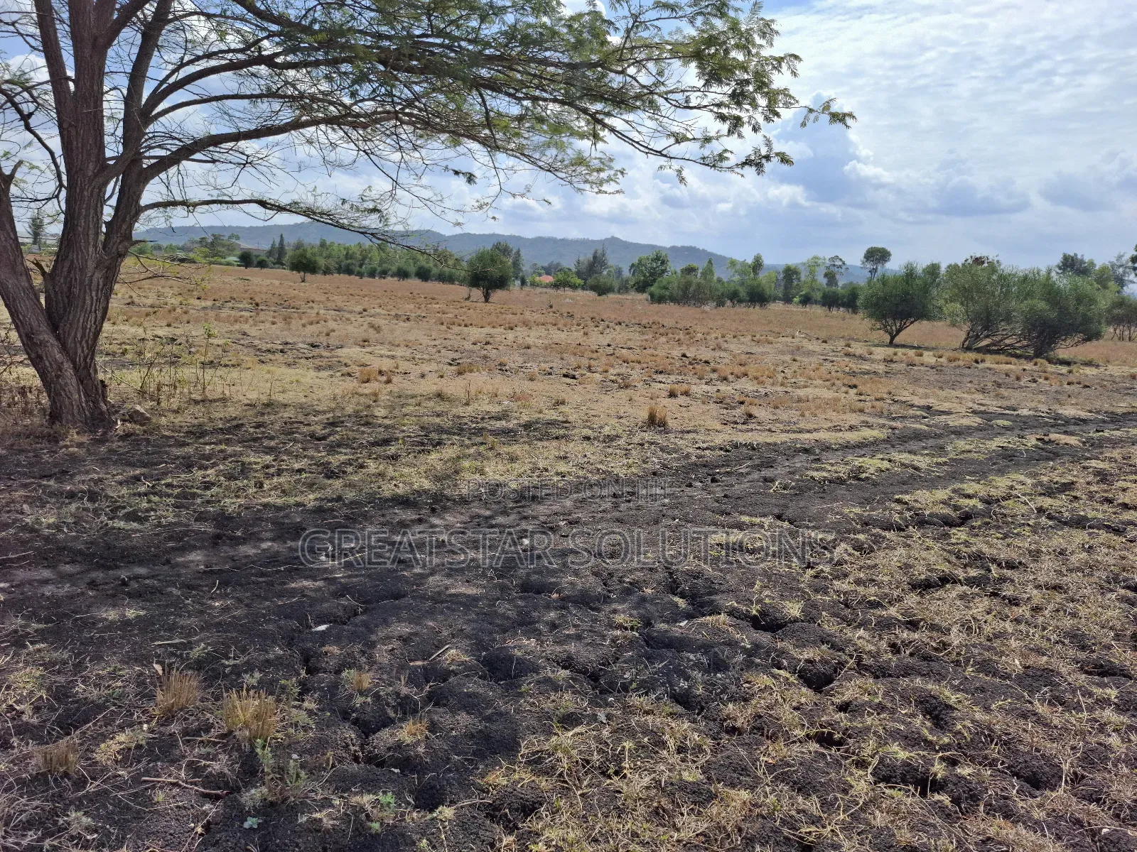 50 by 100 Plot in Kiine, Sagana. 200m From Kenol Marua Highway.