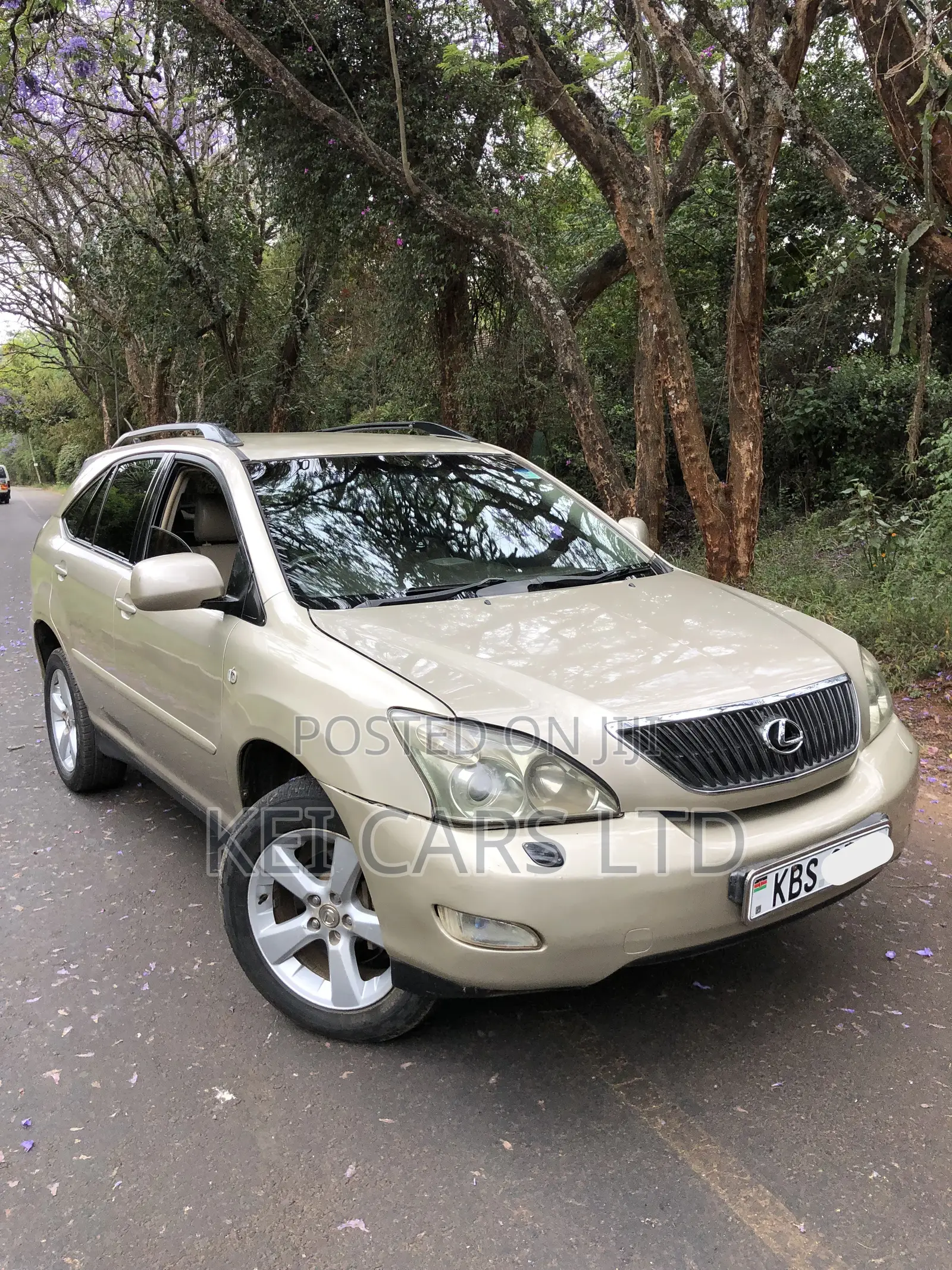 Lexus RX 300 2005 Brown