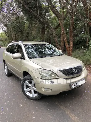 Lexus RX 300 2005 Brown