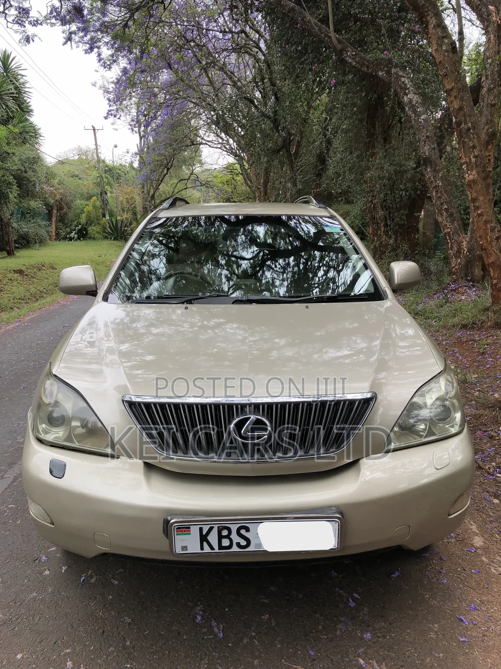 Lexus RX 300 2005 Brown