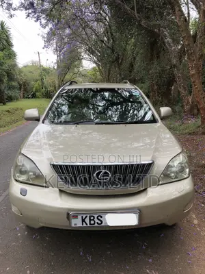 Lexus RX 300 2005 Brown