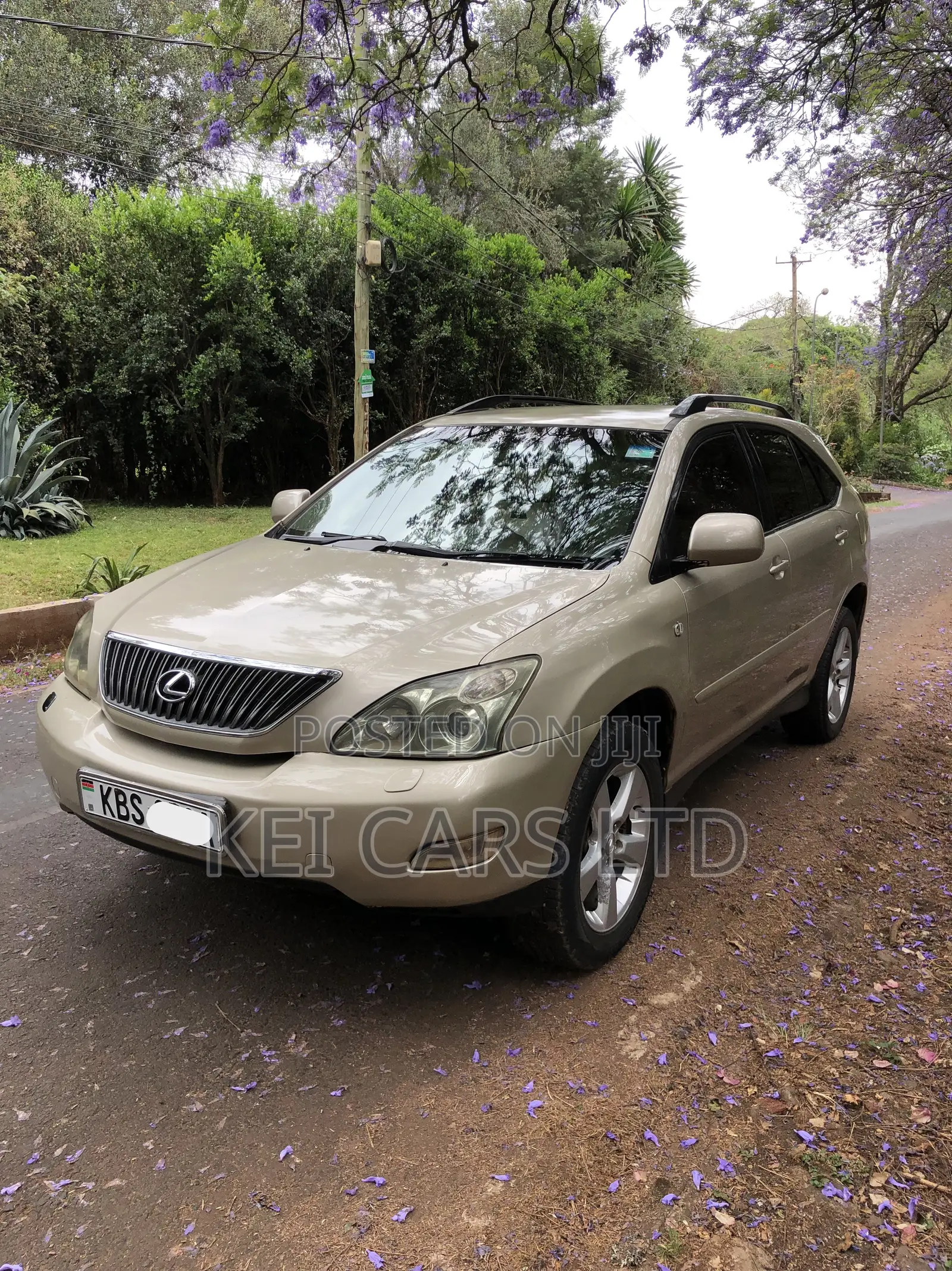 Lexus RX 300 2005 Brown