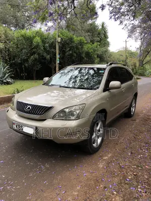 Lexus RX 300 2005 Brown