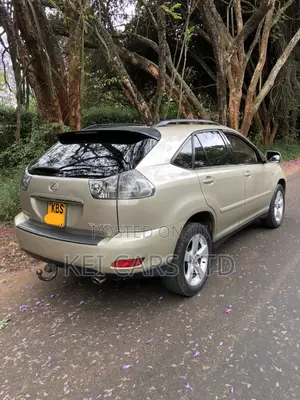 Lexus RX 300 2005 Brown