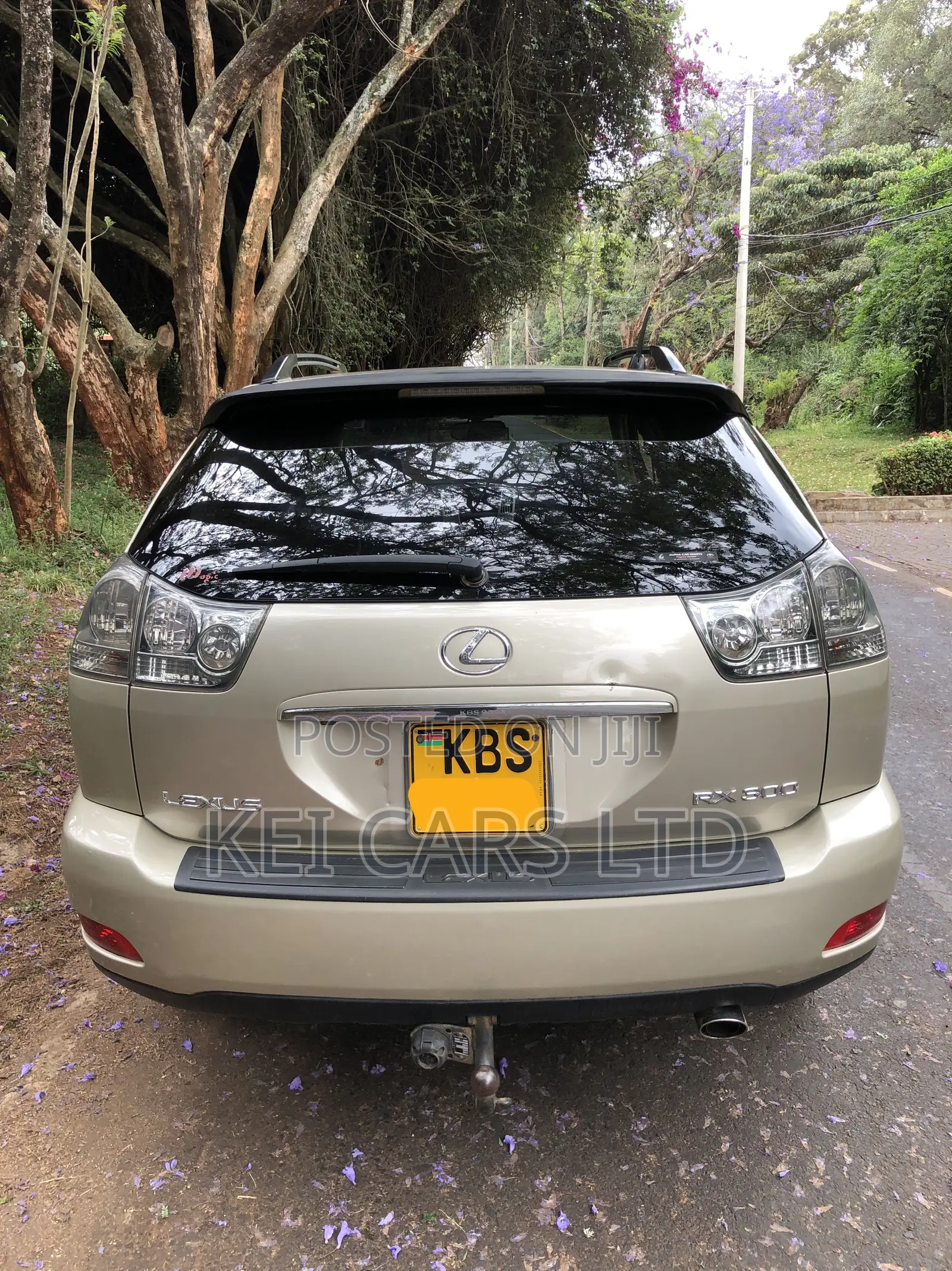 Lexus RX 300 2005 Brown