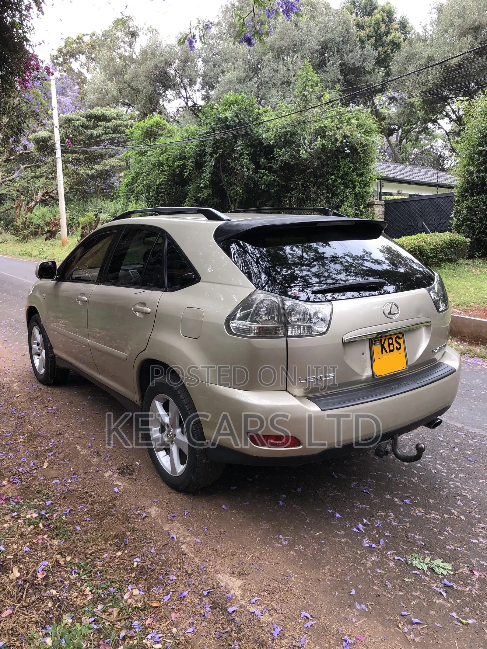 Lexus RX 300 2005 Brown