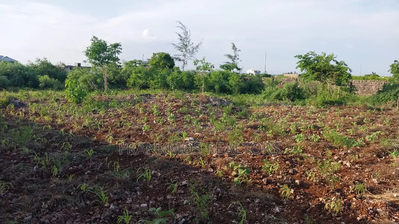 1 Acre Beach Plot for Sale