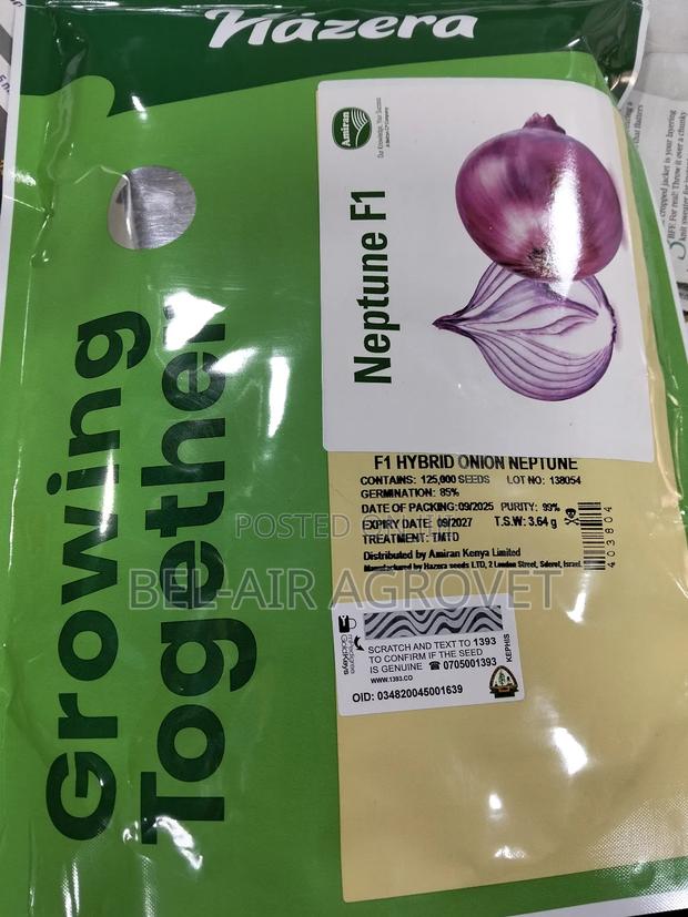 Neptune F1 125000 Seeds