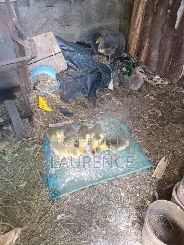 Agricultural Products - main view