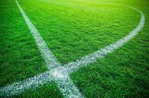 Professional Football Starts From the Ground - Sports Carpet