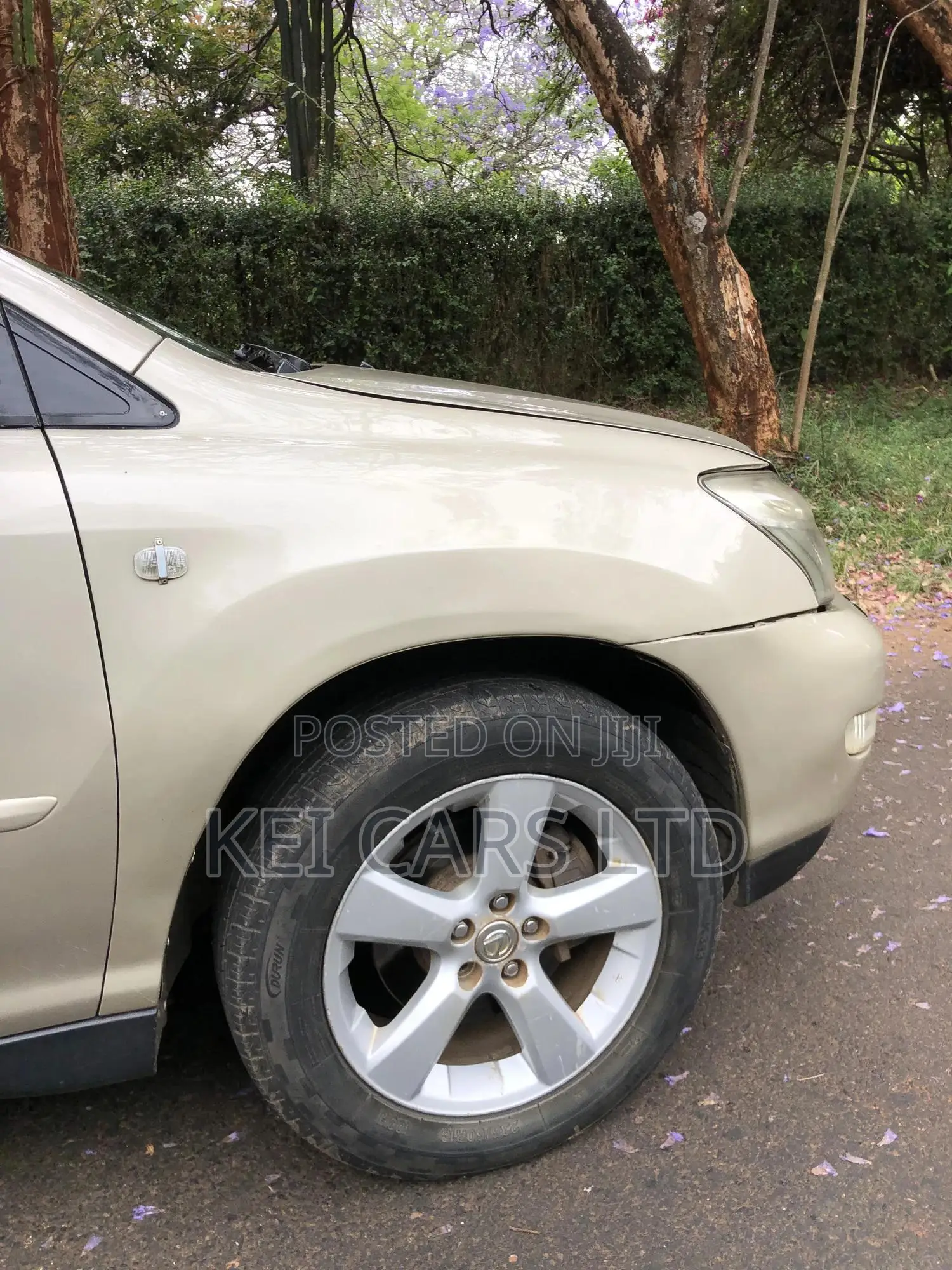Lexus RX 300 2005 Brown