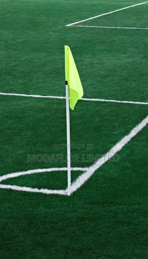 From Grassroots to Pro Level Professional Football Carpet