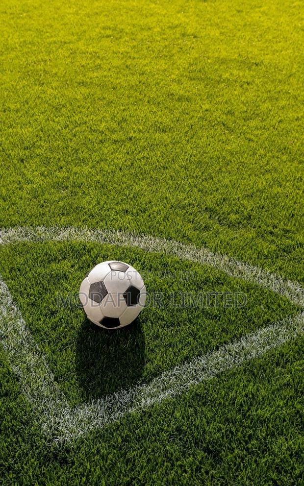 Grass Carpet - Designed for Modern Aesthetics - main view