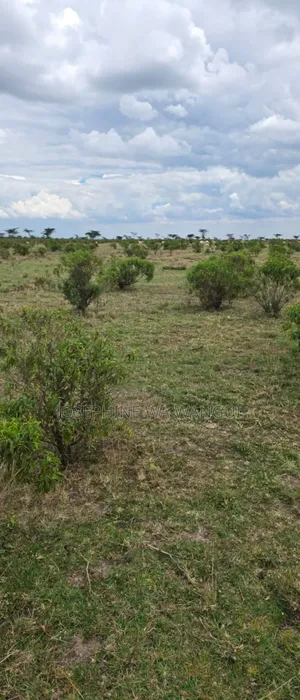 480 Acres of Land for Sale in Ngobit