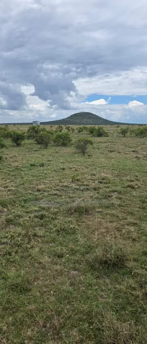 480 Acres of Land for Sale in Ngobit