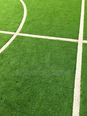 Designed to Last Seasons Football Turf Grass