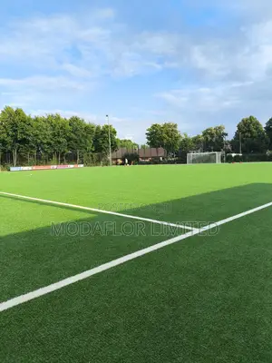 Professional Football Turf (Consistent Play, Every Match)