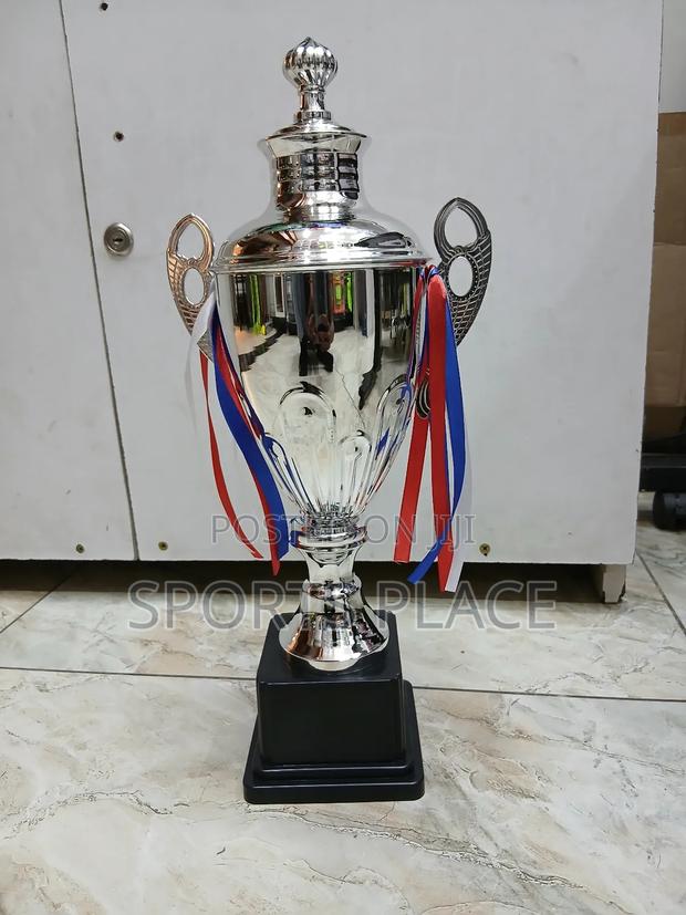 Silver Trophy Award - 43cm Tall - main view