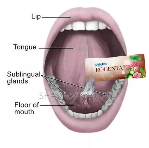 Dynace Global Rocenta Herbal Supplement - Body Strength - thumbnail 3