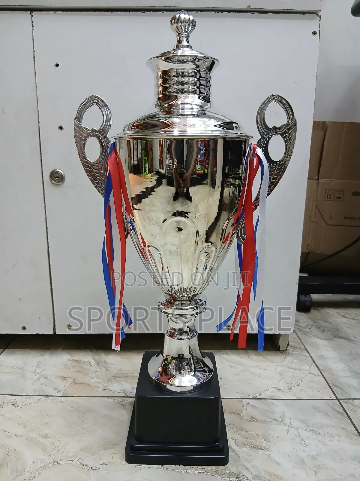 Big Silver Award Trophy