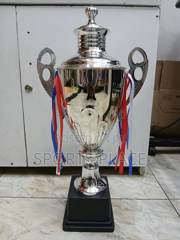 Big Silver Award Trophy - main view
