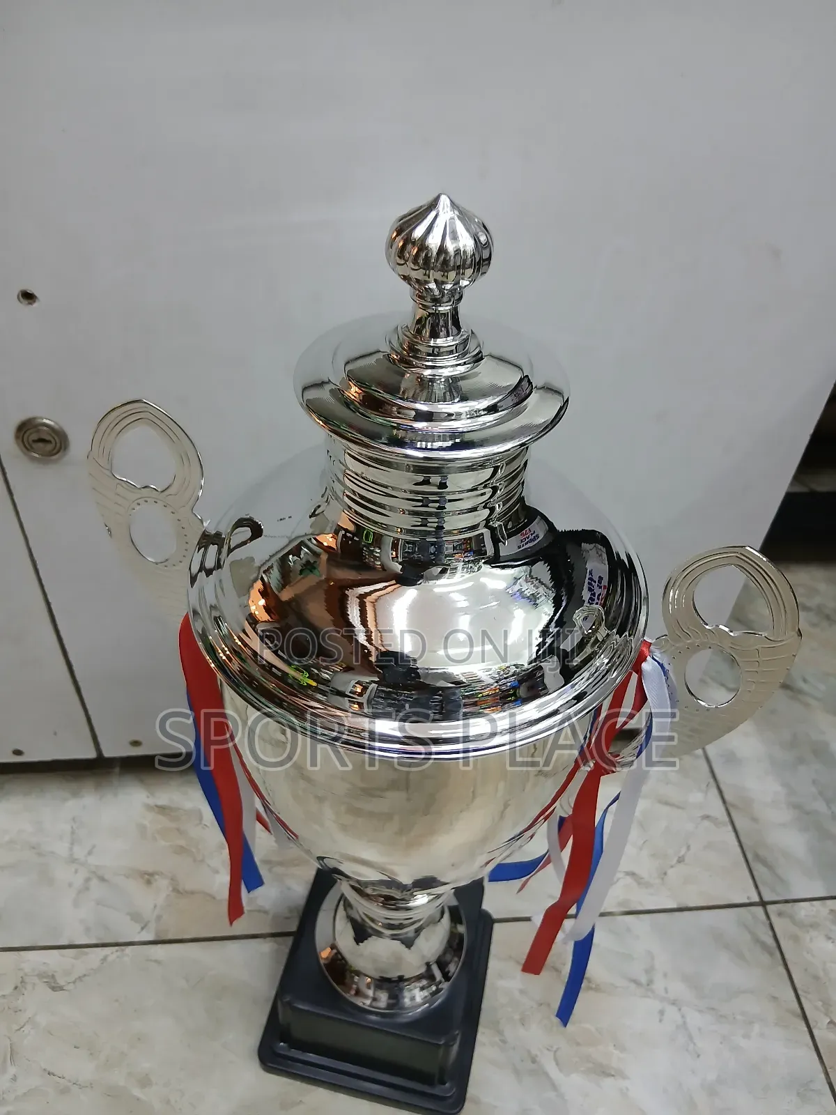Big Silver Award Trophy